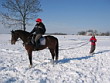 Skijöring 2006