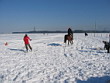 Skijöring 2006