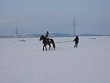 Skijöring 2006