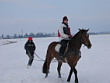 Skijöring 2006