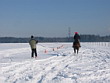 Skijöring 2006