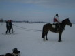 Skijöring 2006