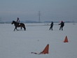 Skijöring 2006