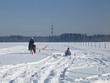 Skijöring 2006