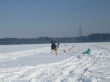 Skijöring 2006