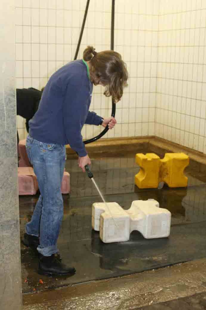 Weihnachtsreiten 2006