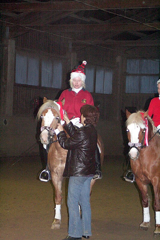 Weihnachtsreiten 2006