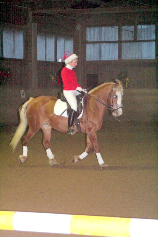 Weihnachtsreiten 2006