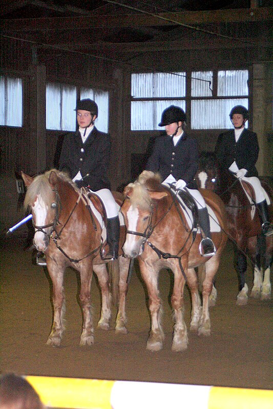 Weihnachtsreiten 2006
