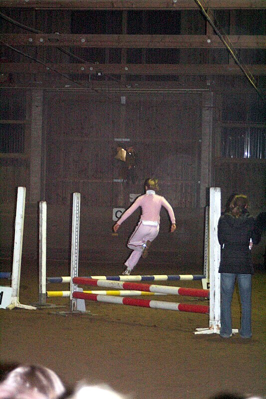 Weihnachtsreiten 2006