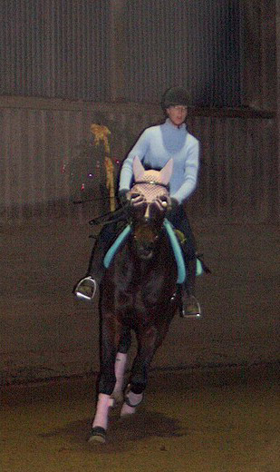 Weihnachtsreiten 2006
