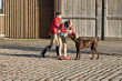 Weihnachtsreiten 2006