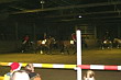 Weihnachtsreiten 2006
