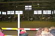 Weihnachtsreiten 2006
