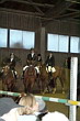 Weihnachtsreiten 2006
