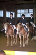 Weihnachtsreiten 2006