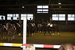 Weihnachtsreiten 2006