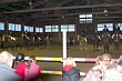 Weihnachtsreiten 2006