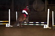Weihnachtsreiten 2006