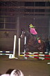Weihnachtsreiten 2006