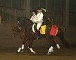 Weihnachtsreiten 2006