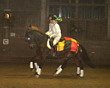 Weihnachtsreiten 2006