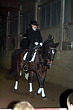 Weihnachtsreiten 2006