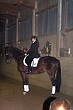 Weihnachtsreiten 2006