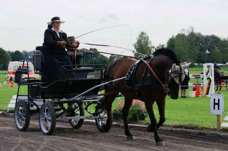 BM Bad Feilnbach 2007