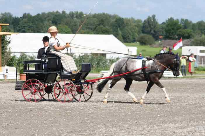 BM Bad Feilnbach 2007