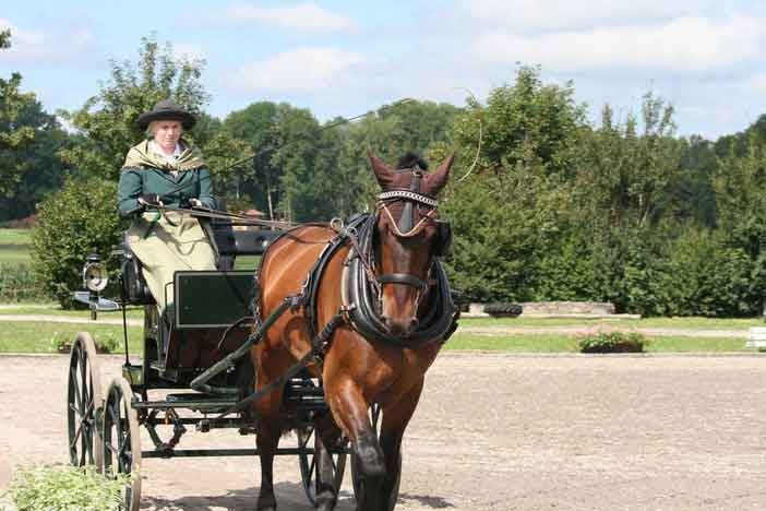 BM Bad Feilnbach 2007