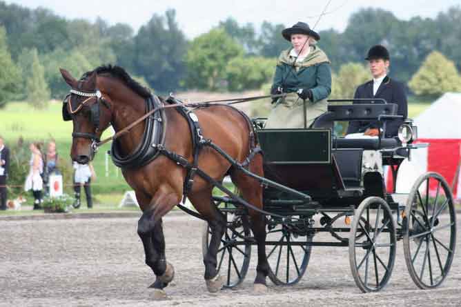 BM Bad Feilnbach 2007
