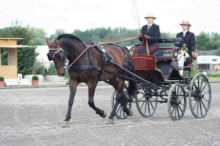 BM Bad Feilnbach 2007