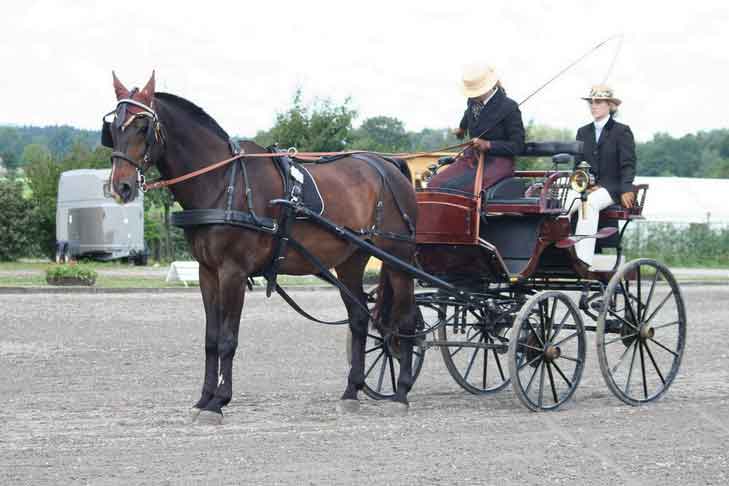 BM Bad Feilnbach 2007
