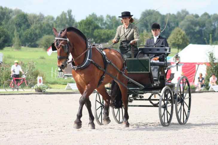 BM Bad Feilnbach 2007