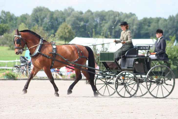 BM Bad Feilnbach 2007