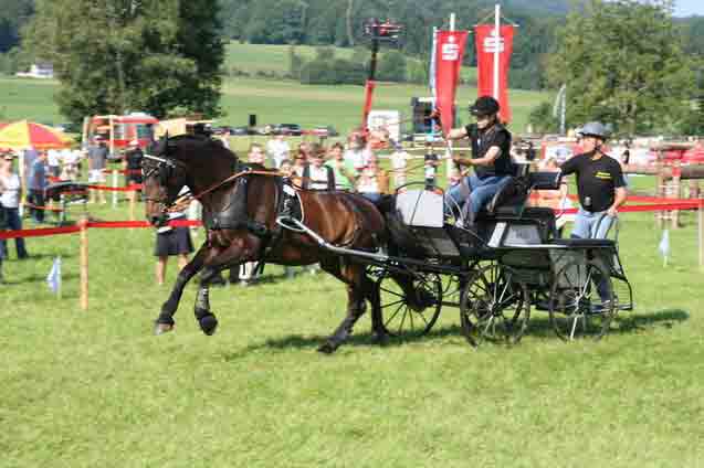 BM Bad Feilnbach 2007
