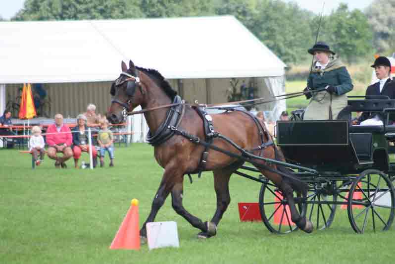 BM Bad Feilnbach 2007