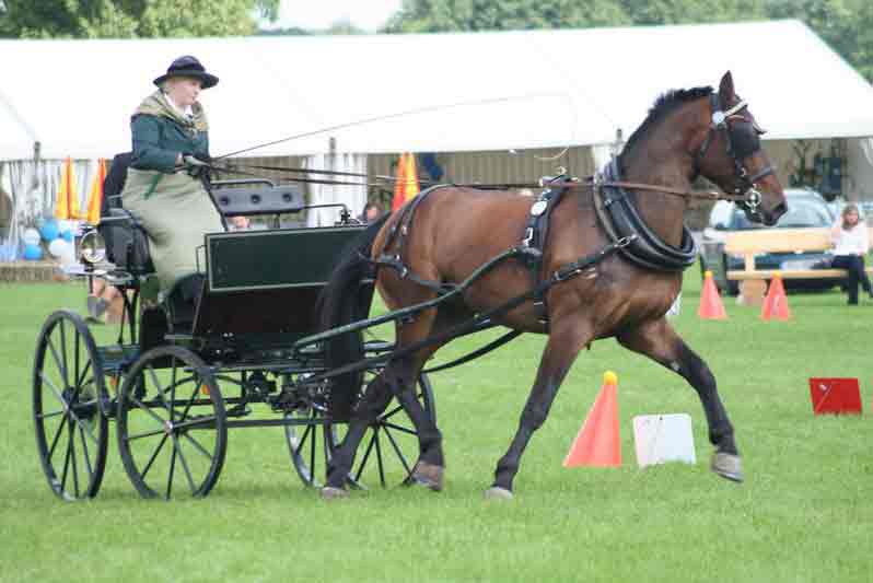 BM Bad Feilnbach 2007