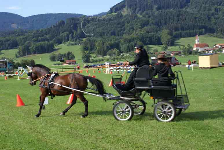 BM Bad Feilnbach 2007
