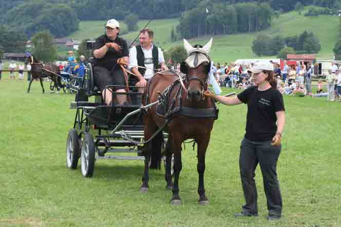 BM Bad Feilnbach 2007