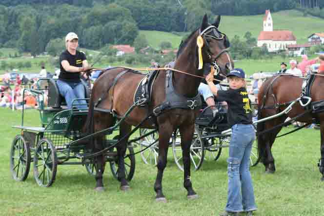 BM Bad Feilnbach 2007