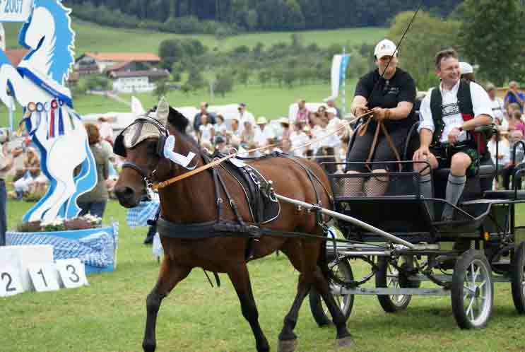 BM Bad Feilnbach 2007