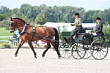 BM Bad Feilnbach 2007