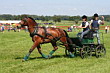 BM Bad Feilnbach 2007