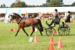 BM Bad Feilnbach 2007