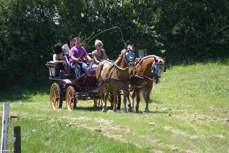 Fahrerfest 2007