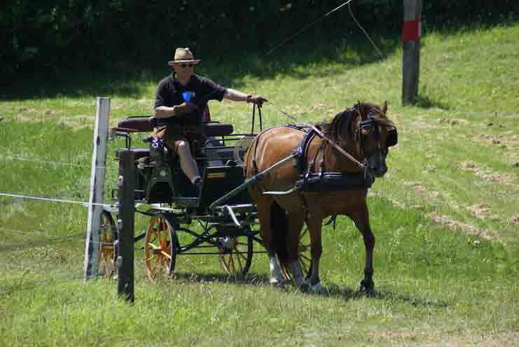 Fahrerfest 2007