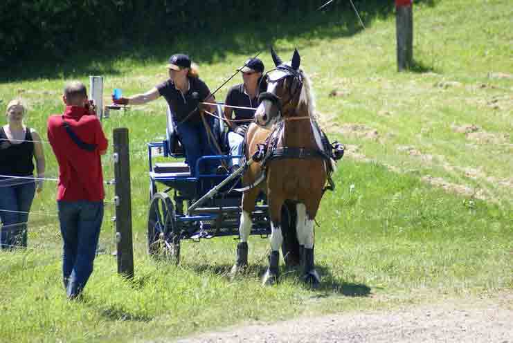 Fahrerfest 2007