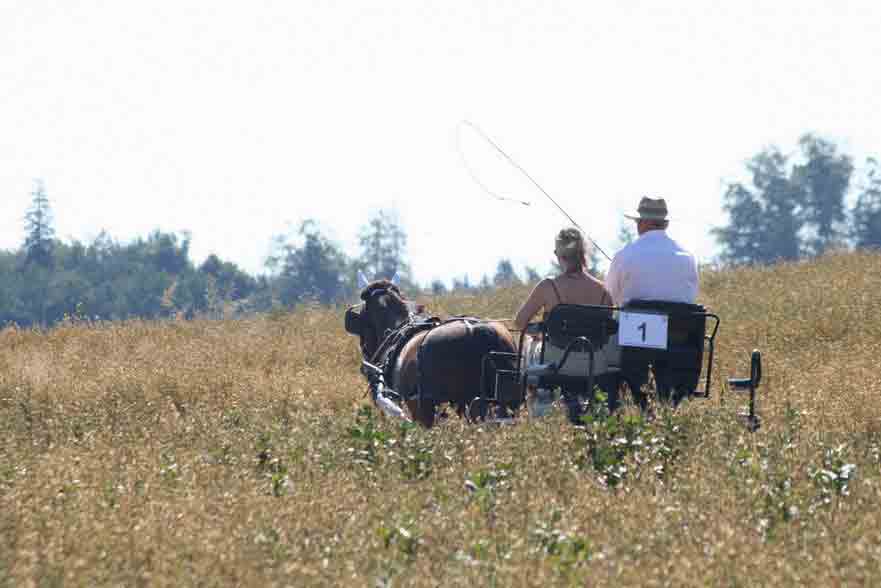 Fahrerfest 2007